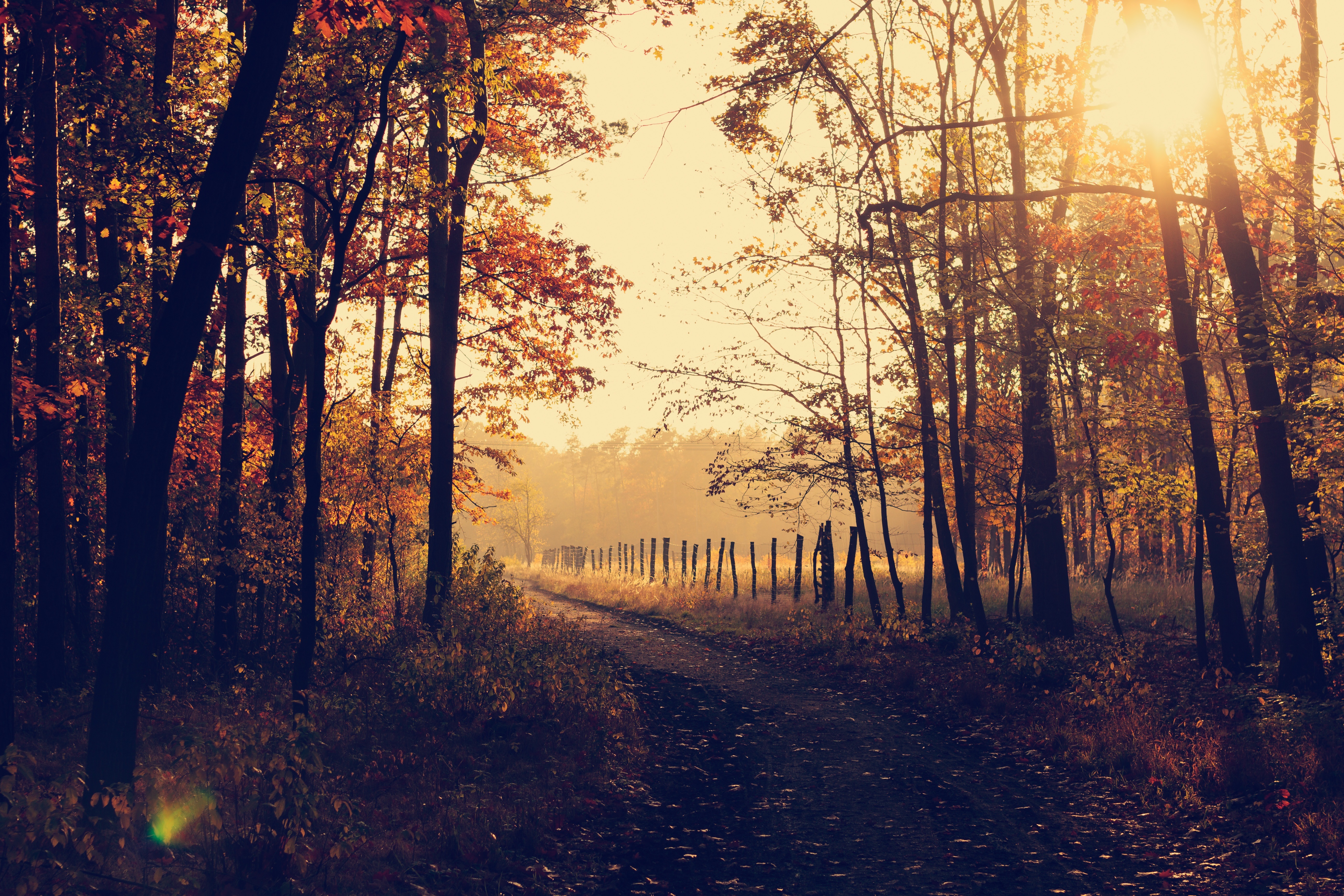 Autumn sunset on a country road