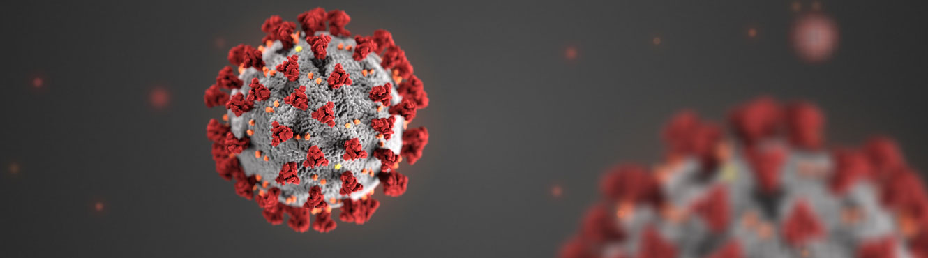 Image of Corona Virus Image of Corona Virus