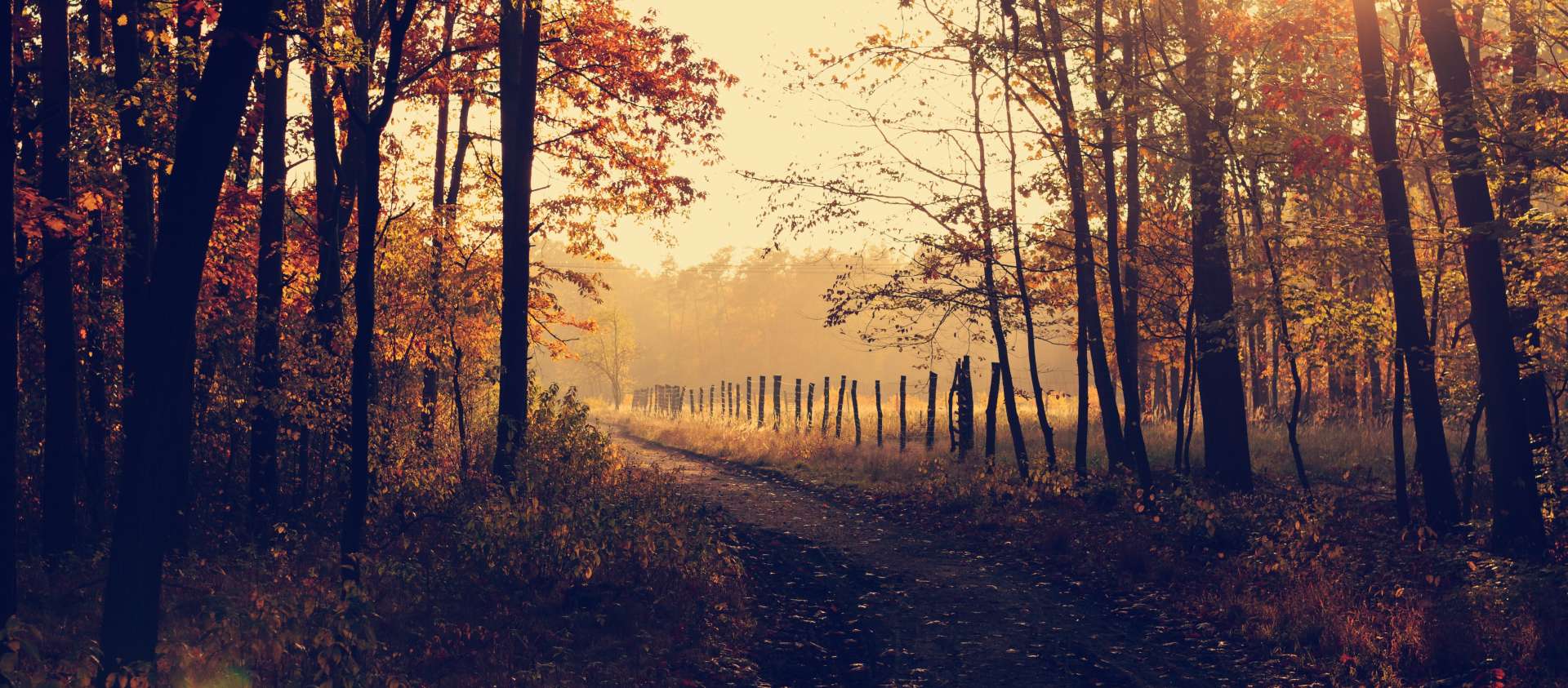 Autumn sunset on a country road