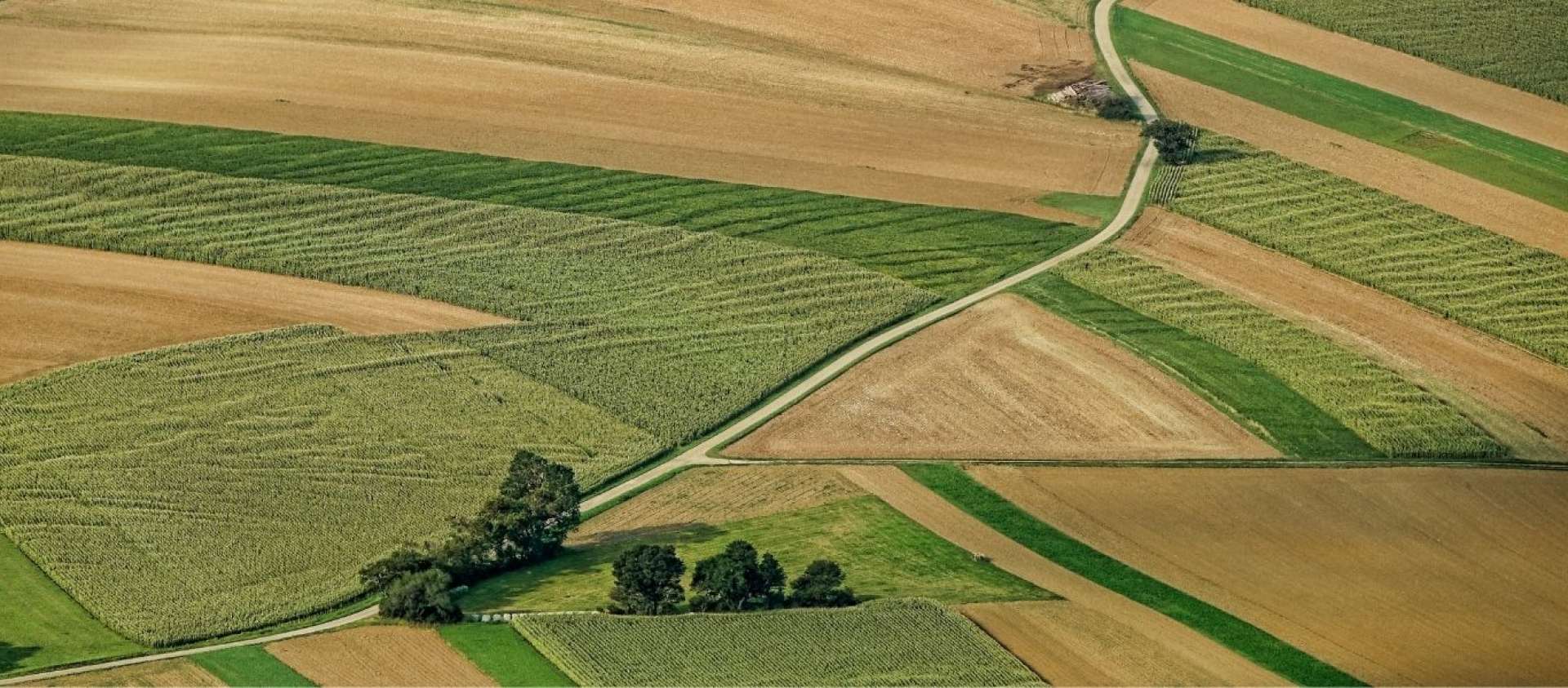 Farmers Field
