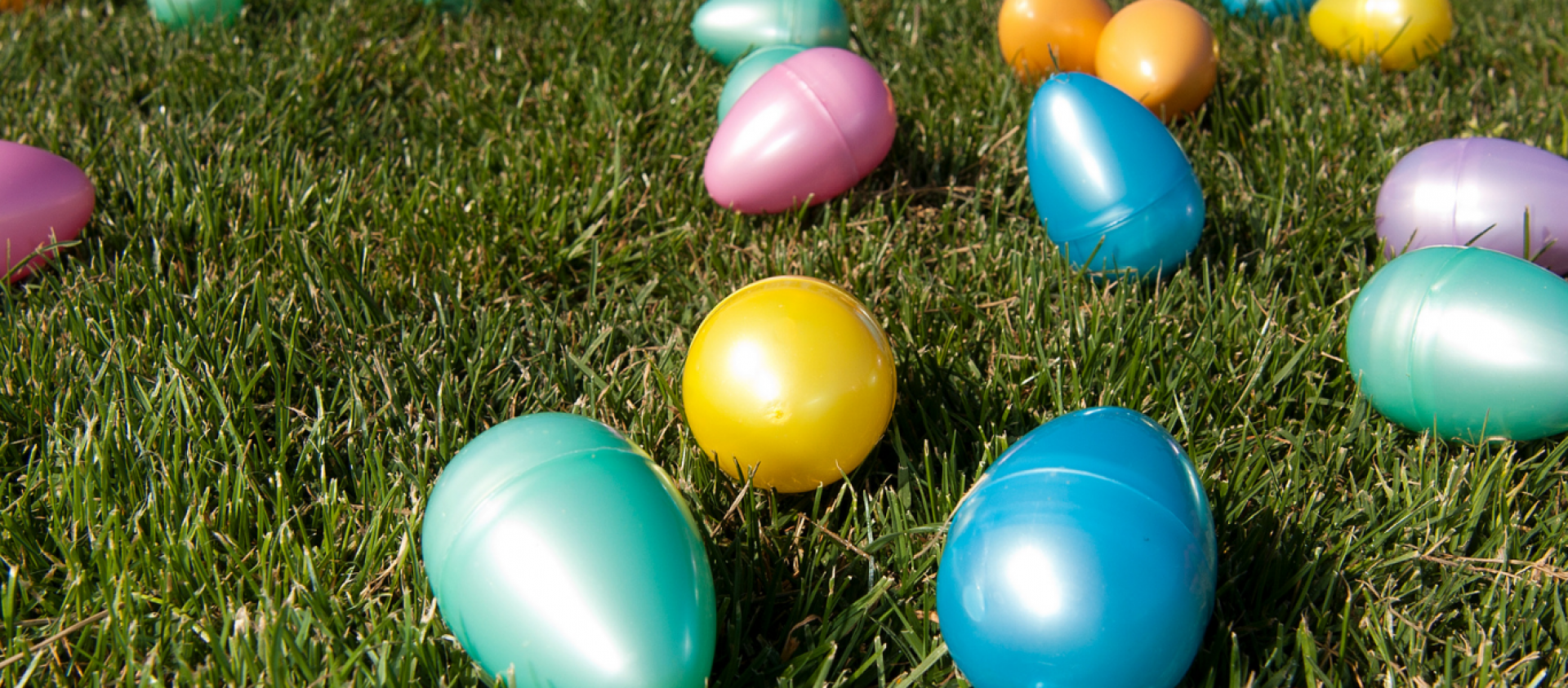Easter Eggs in Grass