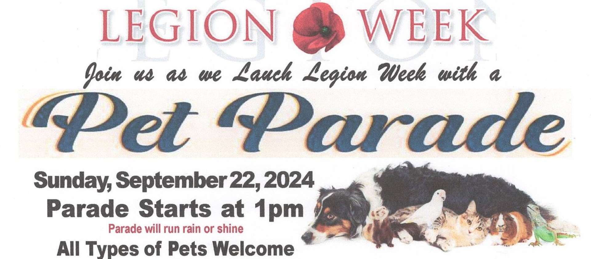pet parade