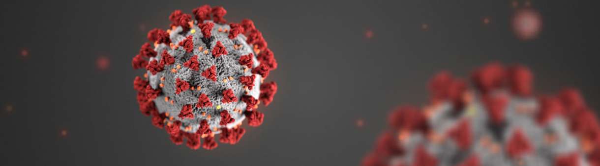 Image of Corona Virus