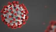 Image of Corona Virus
